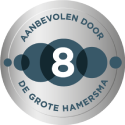 De Grote Hamersma score 8