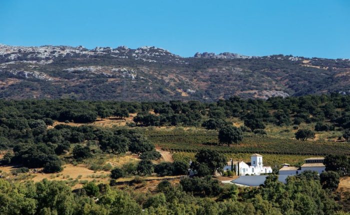 Wijnhuis Cortijo los Aguilares - Spanje