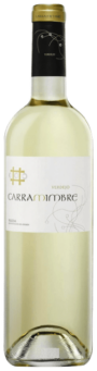 Bodegas Pingon Carramimbre Verdejo | Spanje | gemaakt van de druif Verdejo