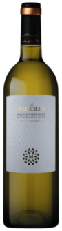 Cave Des Vignerons De Saint-Chinian Le Malicieux Blanc | Frankrijk | gemaakt van de druiven Grenache Blanc en Sauvignon Blanc