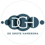 De Grote Hamersma online