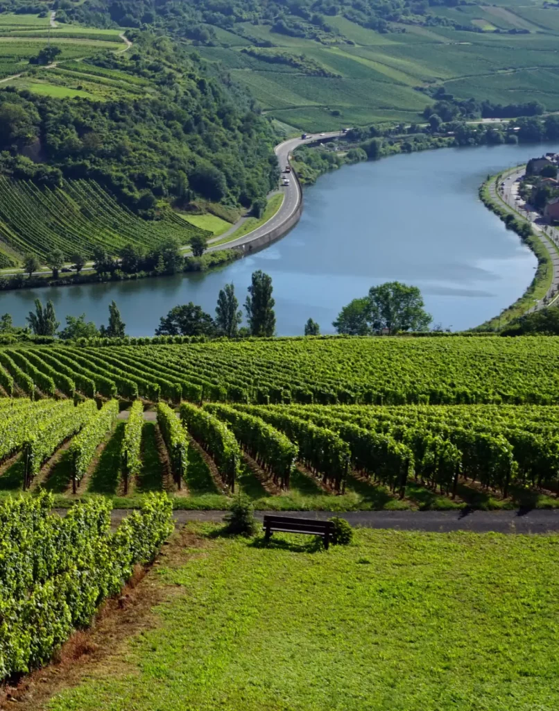 Wijnland Luxemburg | Vindmijnwijn.nl