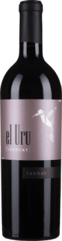 Bodega Terrazul El Uru | Uruguay | gemaakt van de druif tannat