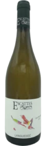 l’Escattes Les Parcelles Blanc | Frankrijk | gemaakt van de druiven Bourboulenc, Grenache Blanc en Viognier