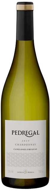 Pedregal - Chardonnay | Uruguay | gemaakt van de druif Chardonnay