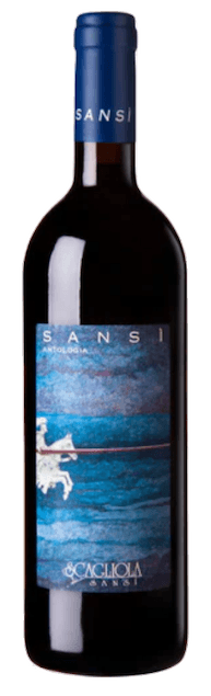 Sansì Antologia Scagliola Barbera d'Asti Superiore DOCG | Italië | gemaakt van de druif Barbera