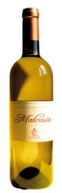 Malvasia - Guglielmini | Italië | gemaakt van de druif Malvasia