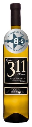 Il Teatro del Vino Quota 311 Verdicchio dei Castelli di Jesi Classico | Italië | gemaakt van de druif Verdicchio