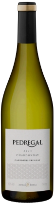 Pedregal - Chardonnay | Uruguay | gemaakt van de druif Chardonnay